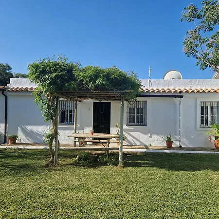 Casas De Flores