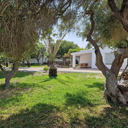 Casas De Flores